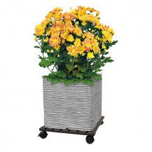 18525 wpc pot trolley square 40x40cm_with pot_1200px.jpg